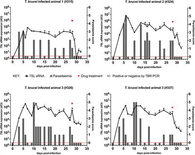 Comparative Sensitivity and Specificity of the 7SL sRNA Diagnostic Test for Animal Trypanosomiasis